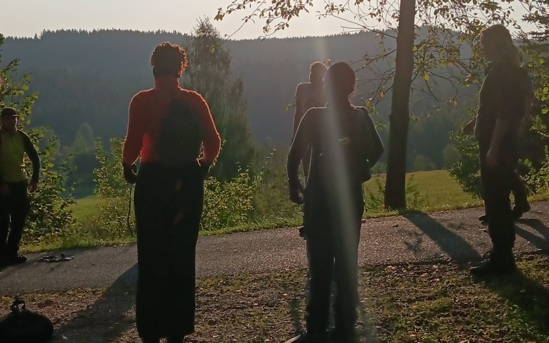 Liebe Grüße aus dem Wald